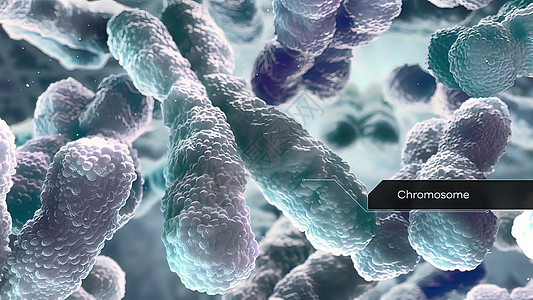 细胞核中的染色体和DNA基因组纳米微生物生物药品基因化学疾病直升机科学图片