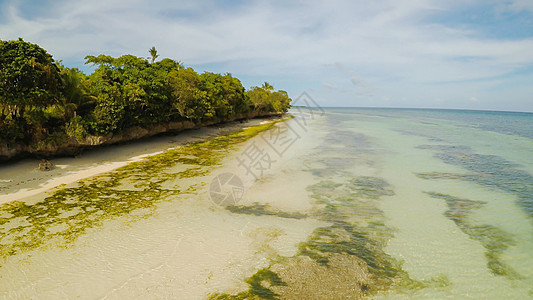 海洋海岸有美丽的珊瑚礁和观点 空中观景 笑声海滩波浪支撑旅行蓝色天堂嘉年华热带假期全景图片