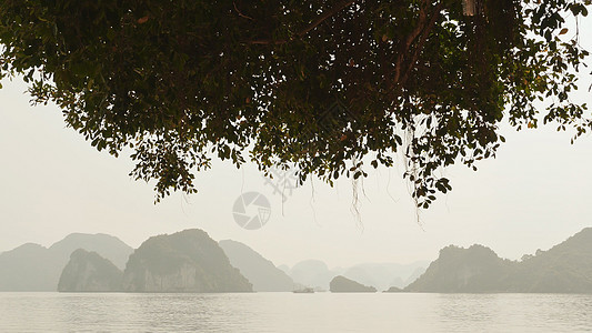 山岳和海的景象 用吊树枝看它图片