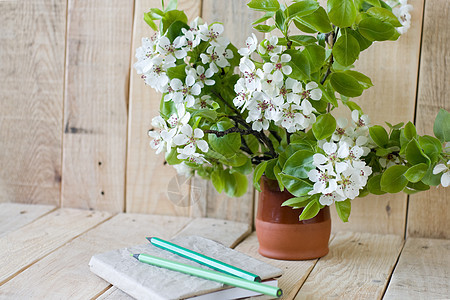 一束果树开花枝的花束和一根用铅笔在木制背景上的旧纸巾树枝棕色水果日记秘密白色生日绿色花瓶笔记本图片