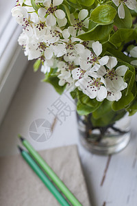 一束果树开花枝的花束和一根用铅笔在木制背景上的旧纸巾记录绿色日记水果花朵秘密棕色白色花瓶笔记本图片