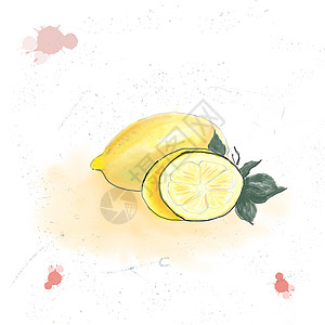 Watecolor 背景新鲜柠檬绿叶 您设计的的食物元素饮食早餐艺术草图收成水彩叶子水果植物绘画图片