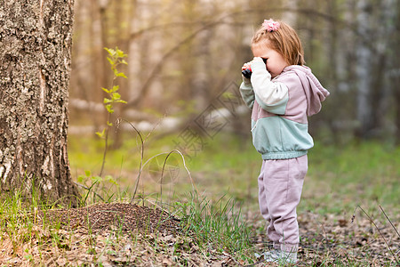 白桦林中的一个女孩走近了一个蚁丘 正在通过儿童望远镜观察蚂蚁 请勿靠近以免惊扰昆虫图片