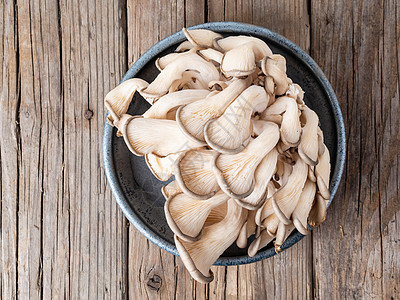 食用蘑菇牡蛎蘑菇 在老旧的木制木板上 顶层风景团体蔬菜饮食牡蛎食物菌丝体桌子美食烹饪生长图片