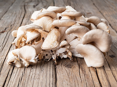 可食用蘑菇牡蛎蘑菇 在老旧的木制木板上 侧面牡蛎蔬菜桌子生长乡村农业饮食蘑菇烹饪植物图片