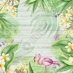 热带热带鲜树木材纸板模版Name卡片季节植物风格花束框架桌子海滩插图木头图片