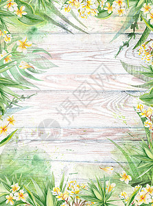 热带热带鲜树木材纸板模版Name横幅花束季节风格植物卡片桌子旅行框架假期图片