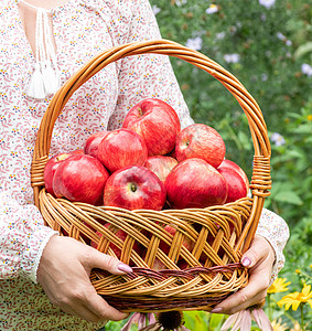 女人拿着一个配红苹果的螺旋篮子食物生产农业万花筒院子水果蔬菜女士营养地面图片