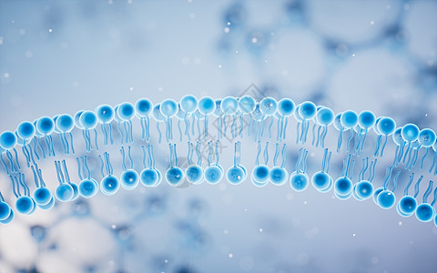 蓝色背景的细胞膜 3D介质细胞质质膜药品生活微生物学宏观渲染骨架作用生物图片