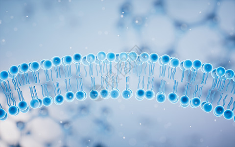 蓝色背景的细胞膜 3D介质细胞质质膜药品生活微生物学宏观渲染骨架作用生物背景图片