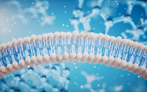 蓝色背景的细胞膜 3D介质细胞微生物学渲染药品原子渗透骨架宏观运输化学图片