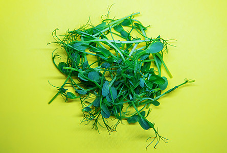 白色背景的微绿色豆芽 有选择的焦点 自然营养沙拉叶子植物土壤农业生态餐厅种子食物图片