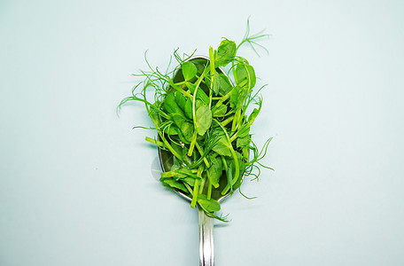 白色背景的微绿色豆芽 有选择的焦点 自然横幅植物花园蔬菜饮食食物种子叶子婴儿生物图片