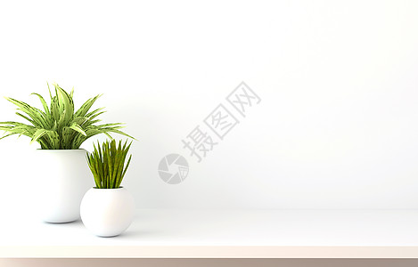 白墙上装有绿色植物的3D层板架图片