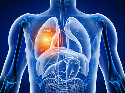 3d 说明有肺痛的人体图片