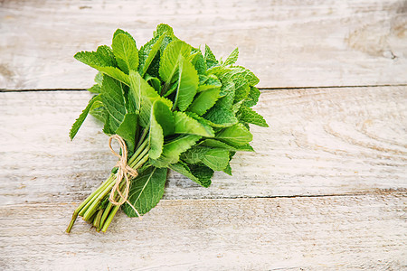 花园里新鲜的自制绿菜 有选择的重点药品芳香园艺木头食物桌子叶子甜点生物香气图片