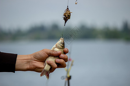 捕鱼 鱼钩钓鱼 选择性重点男性池塘自然娱乐齿轮垂钓者阳光渔民运动假期图片