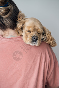 年轻女人抱着她的狗 这只狗躺在肩膀上跟一个年轻女人在一起猎犬乐趣动物女士朋友友谊投标宠物微笑感情图片