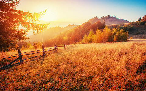 在阳光明媚的下午和秋天季节场景林地晴天草地天气爬坡蓝色叶子橙子风景图片