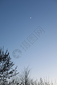 夜空风景 月亮在深蓝夜天空背景上斋月月球星星墙纸月光新月戏剧性日落天文学蓝色图片