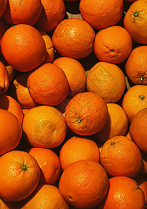 橙子作为健康有机食品背景 农贸市场新鲜水果 饮食和农业果味生长蔬菜收成横幅橙子农民果汁生态园艺图片