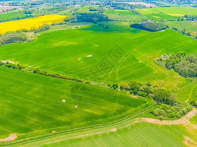 对农田的空中观察 农业面积土地丘陵农村国家农场草地天线鸟类植物全景图片