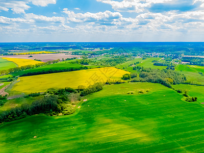 对农田的空中观察 农业面积谷物丘陵场景鸟类全景晴天培育粮食农村小麦图片