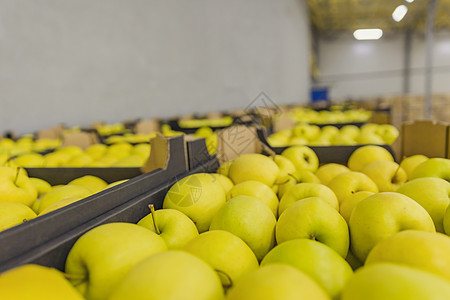 箱装黄苹果特配包装店铺仓库食物水果饮食维生素船运贮存盒子图片
