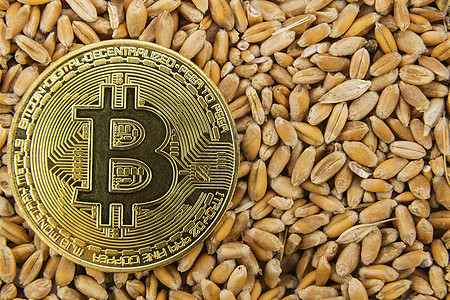 比特币硬币在小麦上豆类面粉生产贸易玉米种子世界团体银行交换图片