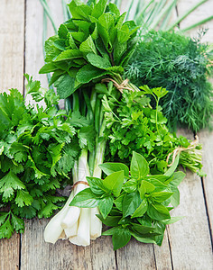 花园里新鲜的自制绿菜 有选择的重点食物生态香料健康芳香美食厨房家庭蔬菜收成图片