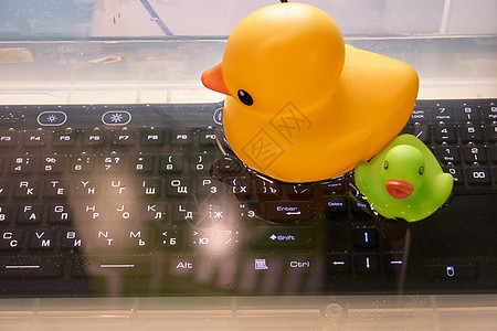 键盘和鸭子防水的水下键盘背景
