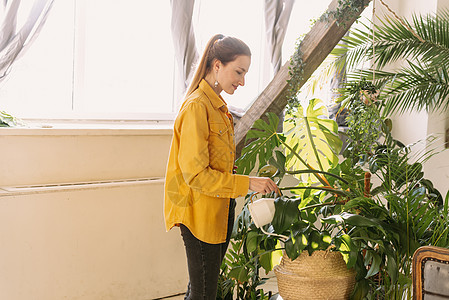 身着漂亮衣服 在家庭花园中浇花和植物的年轻美女 一个女孩正在温室里用水浇灌罐子树图片