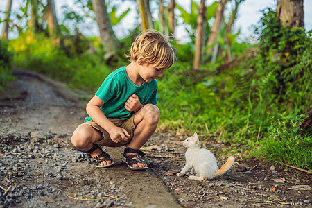 小男孩和小猫咪在外面玩耍宠物日落婴儿毛皮孩子们喜悦生活孩子小猫童年图片