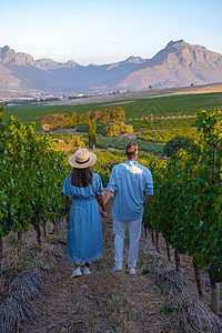 南非开普敦附近斯泰伦博施山丘的日落时风景与葡萄园景观女士酿酒收成产区旅游爬坡全景树叶天空农业图片