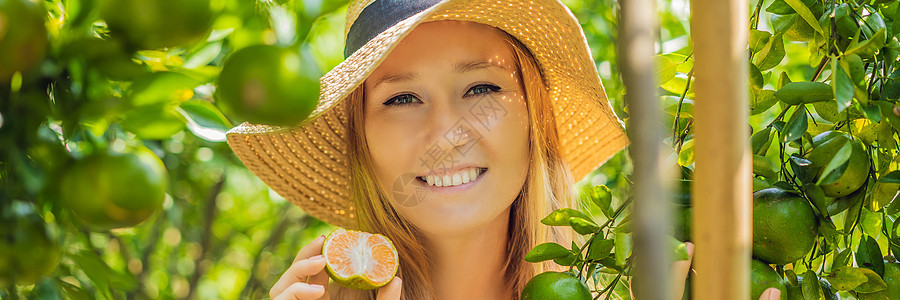 横幅 长幅画像 有魅力的农妇在有机农场收获橙子 快乐的女孩在花园 农业和种植园概念中收获橙子时的幸福情绪食物农民格式收成生产园艺背景图片