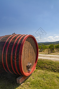 意大利托斯卡纳(托斯卡纳)葡萄园酒桶图片