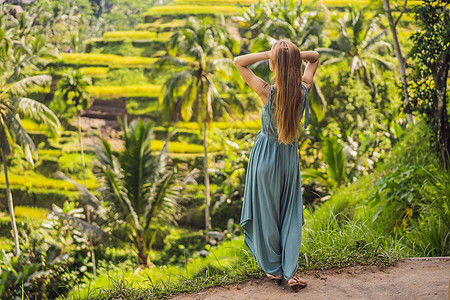 美丽的年轻女子走在典型的亚洲山坡上 那里种着水稻 山形绿色梯田梯田 乌布 巴厘岛 印度尼西亚 巴厘岛旅游理念热带植物场地农村环境图片
