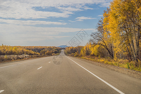 与五颜六色的秋天森林的惊人的看法有柏油山路的 美丽的风景与空旷的道路 树木和秋天的阳光 旅行背景 自然交通运输自然路线太阳木头公图片