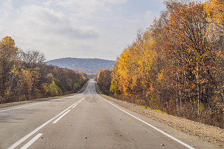 与五颜六色的秋天森林的惊人的看法有柏油山路的 美丽的风景与空旷的道路 树木和秋天的阳光 旅行背景 自然运输季节赛道农村晴天驾驶太图片