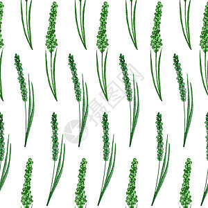 水彩手绘制了无缝的图案 绿色叶子自然绿叶 野生草药织印设计 壁纸纺织品优美的花叶背景插图织物面料植物艺术绘画杂草荒野植物群花园图片
