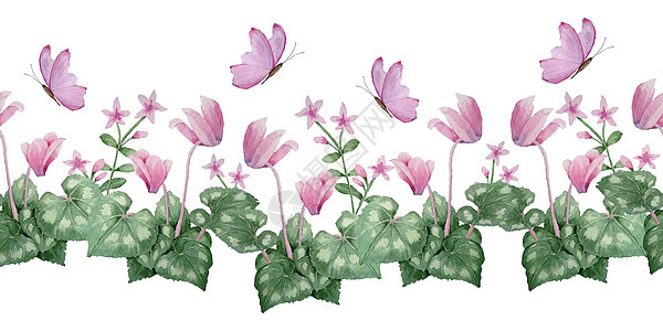 水彩手绘无缝水平边框插图粉色紫色仙客来野生花卉蝴蝶 森林木林地自然植物 逼真的设计叶花瓣 婚礼卡 请柬图片
