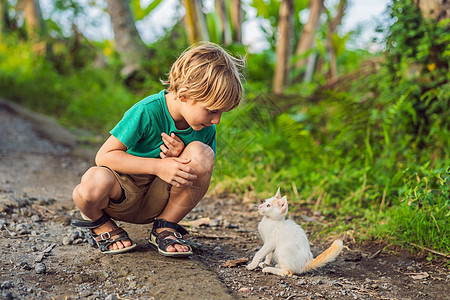 小男孩和小猫咪在外面玩耍小猫婴儿金发友谊男生猫咪宠物童年朋友们拥抱图片