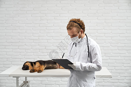 男兽医在诊所里拿着文件夹 在小狗睡觉附近做笔记图片
