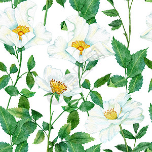 绿色叶子白色蓝色条纹印面背景 壁纸纺织品自然优雅的胜利型设计图案和花岗花叶手绘植物群花束植物绿色植物花瓣邀请函水彩插图玫瑰图片