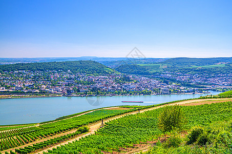 莱茵河峡谷或上中莱茵河谷的空中全景天线地区风景酿酒蓝天爬坡场地葡萄园地平线树木图片