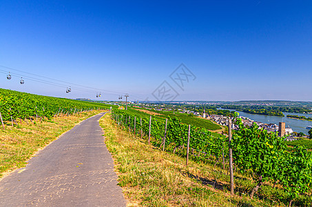 果园绿地景观 有葡萄树排风景蓝色旅游绳索爬坡场地酿酒旅行农村国家图片