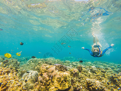 戴着浮潜面具的快乐女人在珊瑚礁海池中与热带鱼一起潜入水下 旅行生活方式 水上运动户外探险 夏季海滩度假游泳课程海洋情调天蓝色闲暇图片