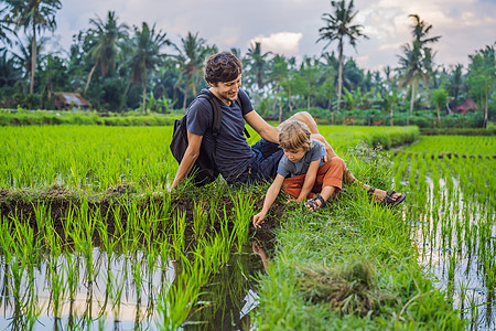 儿童自然教育 爸爸和儿子坐在稻田里看着大自然团体快乐母亲科学童年环境公园生态乐趣学生图片