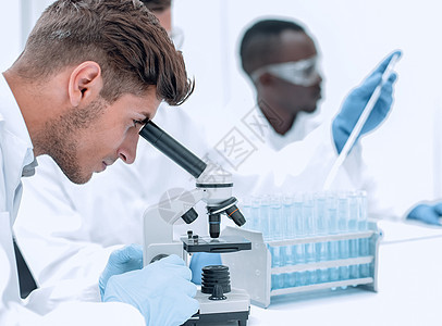 实验室表上的一组科学家 在试验台后方视图中团体学习显微镜团队专家男人研究员研究职业外套图片