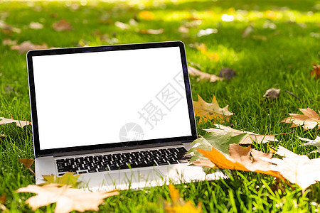 露台上的空白屏幕笔记本电脑 拥有美丽的秋色红黄枫叶背景 用于展示展示 营销 广告概念的复制空间森林商业木头公园职场工作框架产品监图片